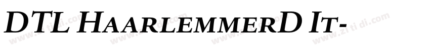 DTL HaarlemmerD It字体转换